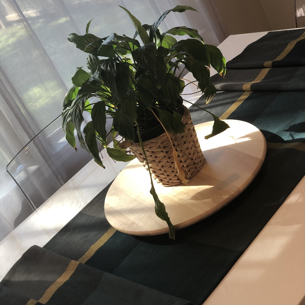 Home fall decor ✨️ - Picture 5 of 11